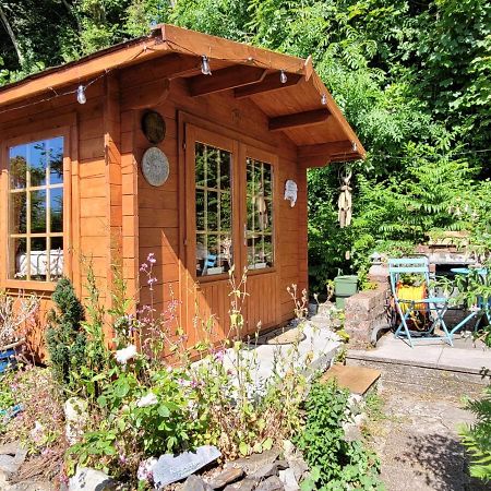 Tan Y Coed'S Rosemary Cabin كونوي المظهر الخارجي الصورة